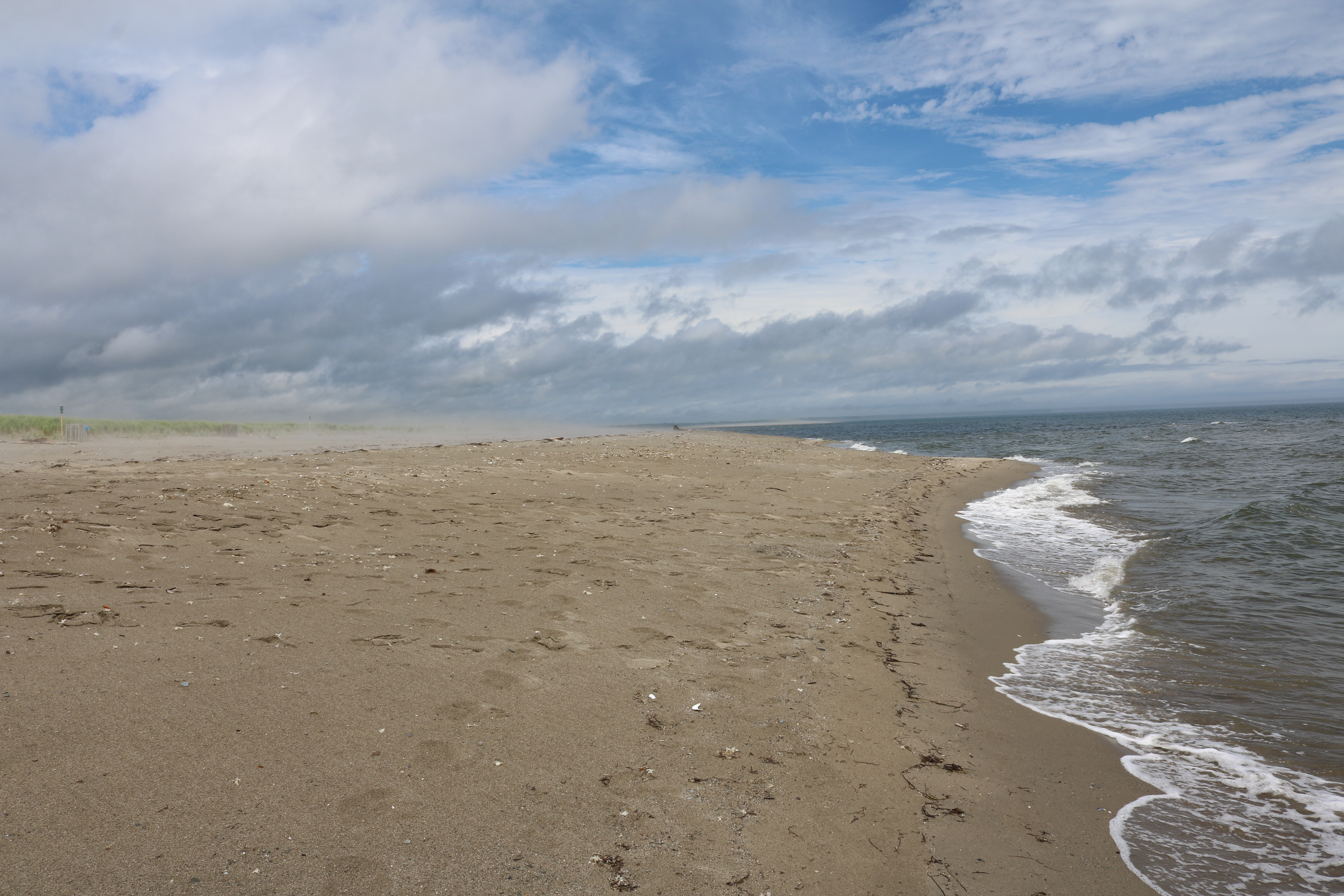 Undrip And Indigenous Procurement - Premium Vintage Design Gallery - Retina